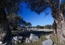 Hardworking and Skilled Peasants