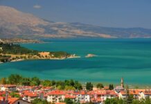 A Surprise Visit to the Palace