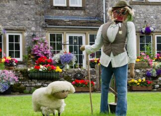 The Sultana and Her Journey